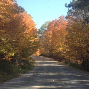 Meet your Posher, Nicholas